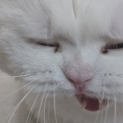 한번씩 안아줘요