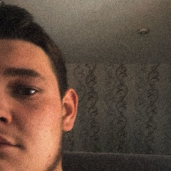 max_301