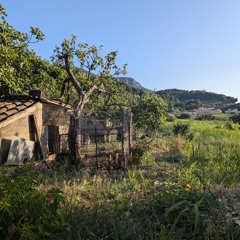 danassutra