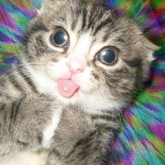 lllllleaaaaaaannnnnnn