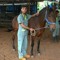 Jose Manuel Agudelo