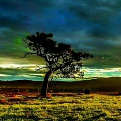 HDR