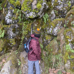 See Los (@lodollarsign)