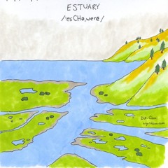 estuary