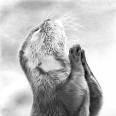 Otter