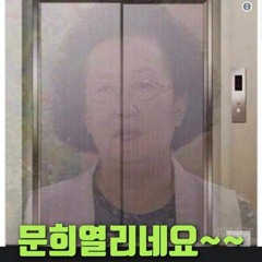 나무늬