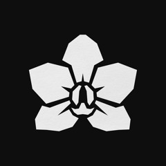 Paper Orchids