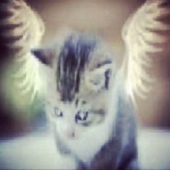 ❤️‍🩹🥷🏽