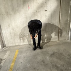 mir4L