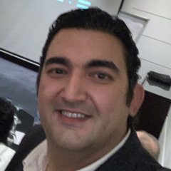 Haitham A Shaaban