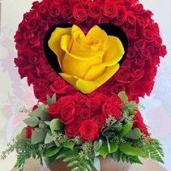 Affan Imran