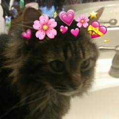 Makeighla💎💋😗