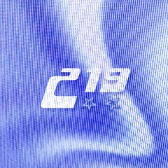 219