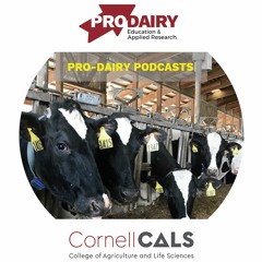 CORNELL PRO-DAIRY PODCASTS