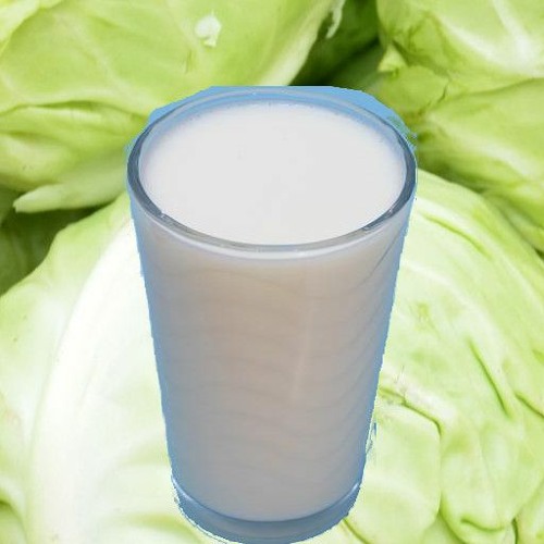 Cabbage Milk’s avatar