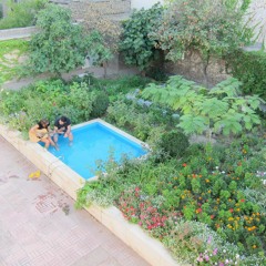 Saman Razavi