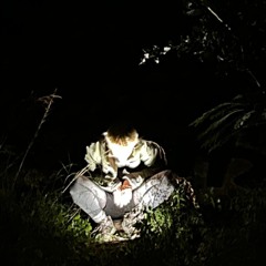 ‎‍‍‍‍‍‍󠀠󠀠⠀⠀⠀⠀⠀⠀⠀⠀⠀⠀Yosseрph