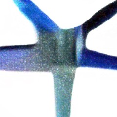 Genus Aix