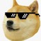 doge
