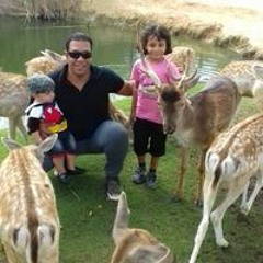 محمود حسن