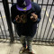 toptierwavy