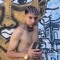 Capeta_03