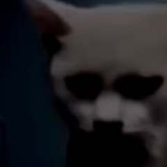 wawawawaawawwawawawa