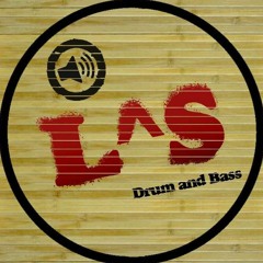 L^S DNB