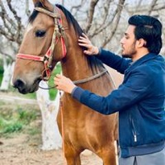 hamzaali