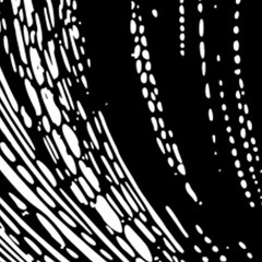 Vortexroom