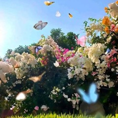 🎶Hagar Mohamed🎶