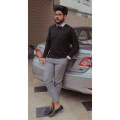 Muhammad Ammar Younas