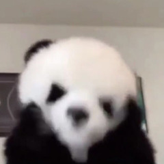 ✧∭✧ Ｇ.Ｄ.Ｋ. ✧∭✧