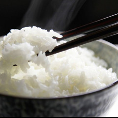 koshi-hikari