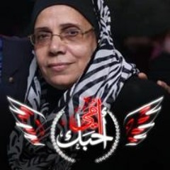 رشا محمد