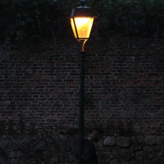 the FÔõL aka the monday