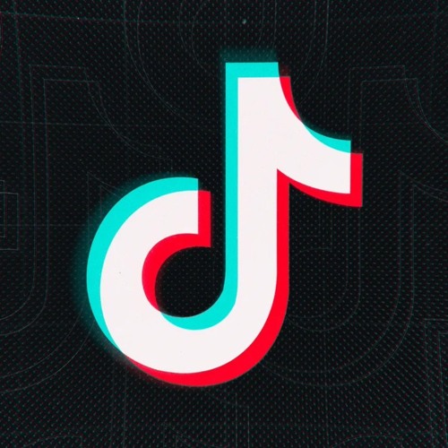 TikTok’s avatar