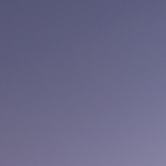 User 200982227