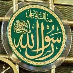 azza amin