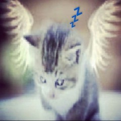 ⋆˚꩜｡ Danggo  𝜗𝜚˚⋆