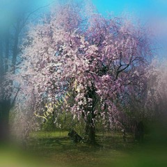 Rosediamand