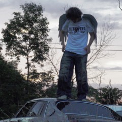 willowind