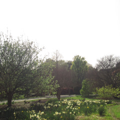 hydepark