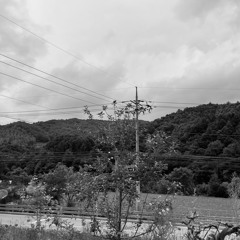 지조