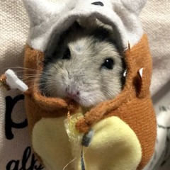 yung 6ix aka covid19soldier