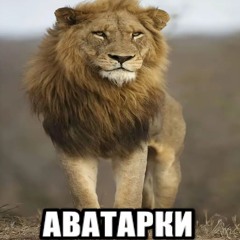 Тимофей
