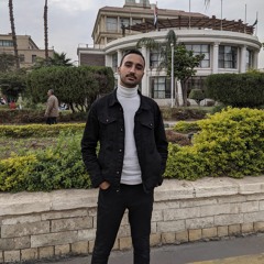 Abdelrahman Eldeghedy