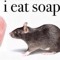 LovelyDumbDinosaur74