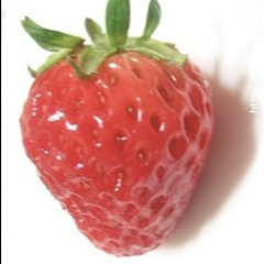 strawberrypopo