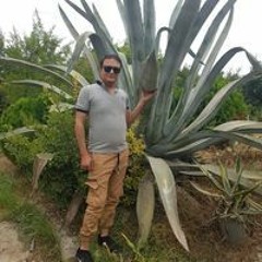 Mohammad Akbari